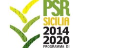 psr-sicilia-nuovo-390x204